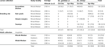 Larvae And Adult Anopheles Mosquitoes Collected From Various
