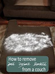 Watch the video explanation about how to get urine out of a car seat online, article, story, explanation, suggestion, youtube. How To Remove Pee And Urine From Couch Works For Mattresses Too The Thrifty Couple