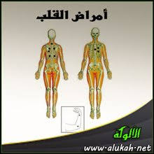 شبكة الألوكة