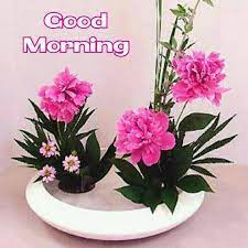 Beautiful good morning flower image free download. Good Morning Status Good Morning Beautiful Pink Flowers Facebook