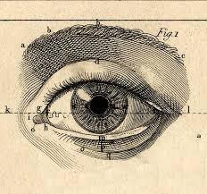 Magic Transistor On Tumblr Eye Illustration Eye Art Anatomy Art