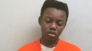 Belleville teen charged with sexual assault