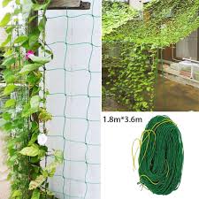 For extra interest, choose flowering vines such as morning glory that will scramble up and around the pergola. Garden Plants Climbing Net Morning Glory Flower Vine Netting Support Net Grow Holder Garden Accessories 0 9x1 8m Walmart Com Walmart Com