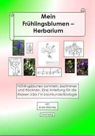 Bio deckblatt für die schule zum kostenlosen ausdrucken. Mein Herbarium Buch Criavis Verlag