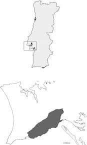 Au niveau des excursions à la journée, il y a des destinations fascinantes à proximité telles que les falaises du cap espichel, le port de setubal ou encore les plages paradisiaques. Localization Of The Study Area In Portugal And In Peninsula De Setubal Download Scientific Diagram