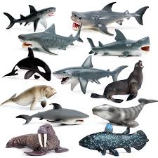 Sea Life Savage Whale Shark Lifelike Baby Shark Toy Anti Stress Squeeze Big Shark Collection Toy For Kid Gift Squeeze Toys Aliexpress