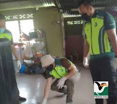 Jabatan perlindungan hidupan liar dan taman negara atau perhilitan adalah pertubuhan kerajaan malaysia dibawah jabatan kementerian tenaga dan sumber asli yang bertanggungjawab menjaga. Jabatan Perhilitan On Twitter Berita Jenayah Hidupan Liar Jabatan Perhilitan Negeri Sembilan Telah Melakukan Operasi Penguatkuasaan Di Tiga Premis Berasingan Yang Terletak Di Sekitar Daerah Kuala Pilah Dan Daerah Tampin Pada 12
