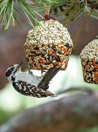 Cupcake Bird Seed Ornaments Songbird Tweets Gardeners Com Bird Seed Ornaments Bird Feeders Bird Feeding Station
