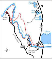 Maybe you would like to learn more about one of these? American Land Leisure Sutton Campground Central Coast Oregon