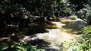 Kalau orang dewasa, kedalaman air disini lebih kurang paras betis atau buku lali sahaja. Mohd Faiz Bin Abdul Manan Hutan Rekreasi Sungai Tekala