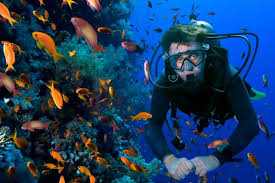 A Beginner S Guide To The Best Places For Scuba Diving In Thailand Ithaka