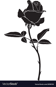 Roses Silhouette Royalty Free Vector Image Vectorstock Affiliate Royalty Silhouette Roses Black Rose Tattoos Silhouette Images Single Rose Tattoos