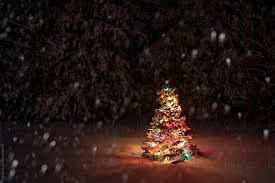 Highly durable bulb construction with a lifespan up to 60,000 hours. Snow Falling On Christmas Tree By Rob Sylvan