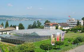 Wädenswil ist eine politische gemeinde und mittelgrosse stadt im bezirk horgen des kantons zürich in der schweiz. Wadenswil