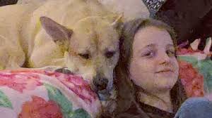 Fundraiser by Tiffany Stricker : Brain Surgery for Ava