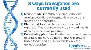 Let's break apart the word: Transgene History And Role In Generating Animal Models