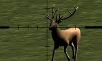 We collected 31 of the best free online hunting games. Hunting Games Prey On Fun Agame Com