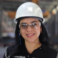 Consultoría Carnegie