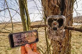 Check out these best wireless trail camera since your wireless game camera's photo sending technology is similar to that of a cell phone you will need to install a sim card inside it to use it. Trail Cameras That Send Pictures To Your Phone The Technology Differences