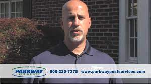 Dial a bug pest control. Parkway Pest Services Home Facebook