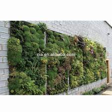 We did not find results for: Vertical Garden Artificial Green Wall For Indoor Outdoor Decoration Buy Outdoor Decor High Quality Vertical Green Wall Plants Wall Product On Alibaba Com