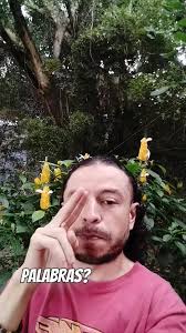 la mayoriA fallaN 🤯🤪