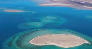 Check spelling or type a new query. 50 Islands Red Sea Luxury Resort In Saudi Arabia Neom Vision 2030