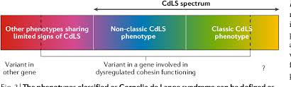 Figure 2 From Diagnosis And Management Of Cornelia De Lange