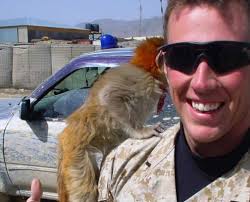 Mental Health Archives