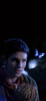 Tania Flood (taniamarie16) — Perfil