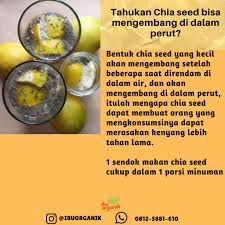 Jun 25, 2021 · resep es timun serut. Chia Seed Chiaseed 90 Gr Shopee Indonesia