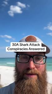 Unraveling the Mysteries of Recent Shark Attacks: Expert Insights