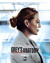 A drama centered on the personal and professional lives of five surgical interns and their supervisors. Grey S Anatomy Season 17 Wikipedia
