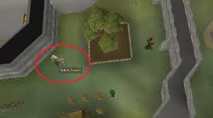 Lots of plants get called cacti that aren't, sometimes because the plant is a succulent but more often because it hurts when you bump up against it. Old School Runescape The Complete Farming Guide