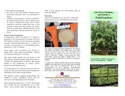 Image result for Oxytenanthera abyssinica