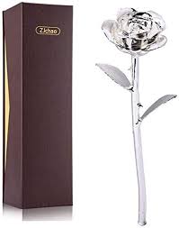 The floral theme naming trope as used in popular culture. Amazon Com Zjchao 24k Silver Rose Gifts For Her Eternity Love Dipped Gold Real Rose Flower Preserved Eternal Christmas Anniversary Valentine S Day Present For Wife Mom Grandma Silver Kitchen Dining