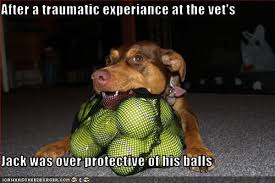 Maybe you would like to learn more about one of these? Funny Quotes About Dog Neutering Facebook Visitquotes