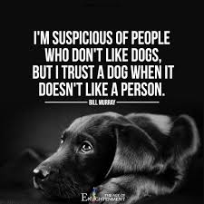 Science Confirms That Dogs Can Recognize Bad People Dog People Quotes Dog Quotes Dogs