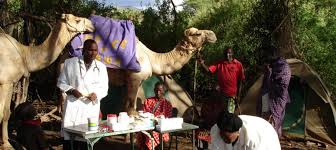 An interesting test of vision #01fun quiz it takes a lot of effort to find a camel. Taking Health Services To Remote Areas Africa Renewal