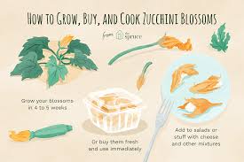 Eat flowers if you have severe allergies. What Are Zucchini Flowers And How Are They Used