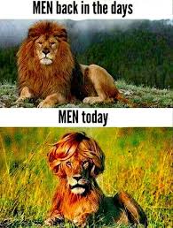 Pin By Robin On Saving Funny Dog Shirts Funny Pictures Funny Cartoons