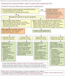 Assessment And Diagnosis Of Possible Uti In A Child