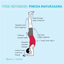 Pin On Yoga Meditation