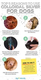 Pin On Natural Pet Care