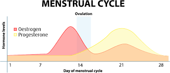Menopause is something that all women will go through at some point in their lives. Understanding Your Period And Hormone Imbalance