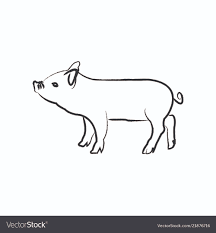 Outline Draw Pig Royalty Free Vector Image Vectorstock