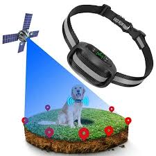 Wireless Dog Fence