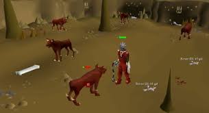 You will find a lot of information about user guides. Osrs Hellhound Boss Guide Alfintech Computer