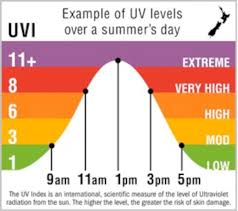 Image result for Sun Exposure
