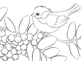 Coloriage diddl, coloriage superman, coloriage de chat, coloriage de cheval, coloriage de depuis 16 ans hugo propose aux enfants surement les meilleurs coloriages gratuits à imprimer. Coloriage A Imprimer L Oiseau Gourmand